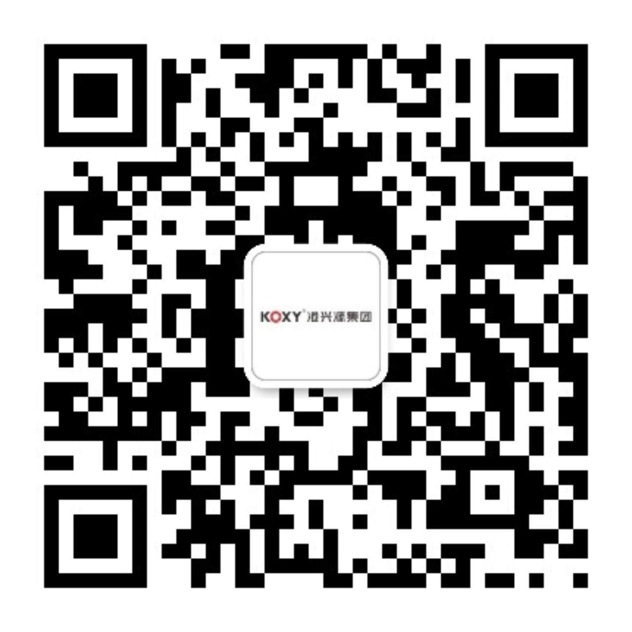 廣(guang)東港(gang)興源(yuan)控(kong)股(gu)集(ji)糰有(you)限(xian)公(gong)司(si)