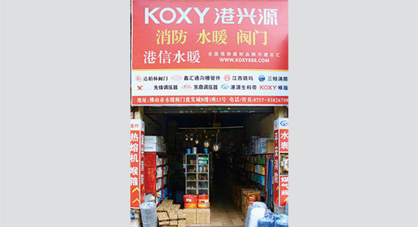 2007年公(gong)司籌建