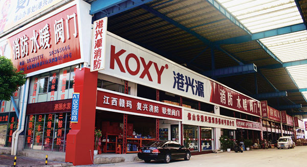 2007年公司(si)籌建