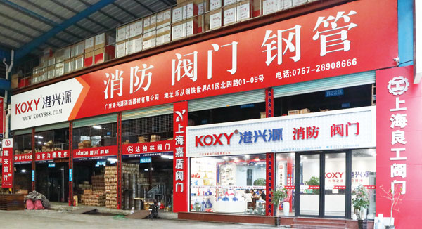 2007年公(gong)司籌建